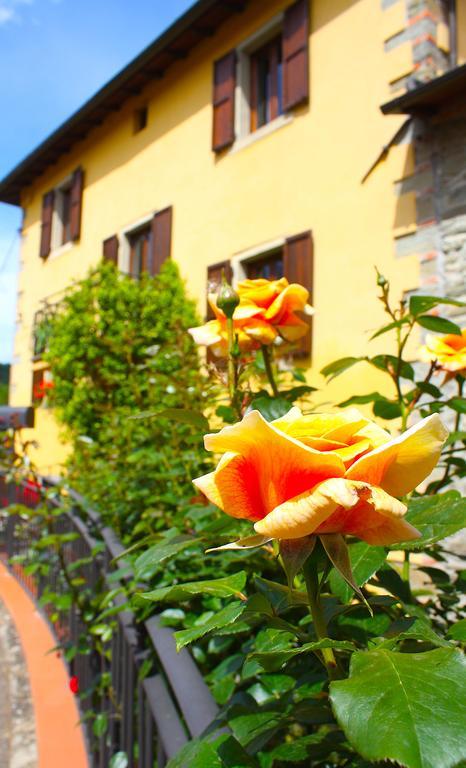 Villa "Corte De' Baldi" Ortignano Raggiolo Экстерьер фото